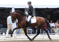 ILBAINO DE TORRELUNA, DE HACIENDA SANTA CRUZ, ORO EN SEMENTALES DE 5 Y 6 A Y MF SECCION